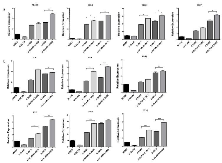 https://cdn.ncbi.nlm.nih.gov/pmc/blobs/9255/9774311/89a3d2d36b48/animals-12-03542-g005.jpg