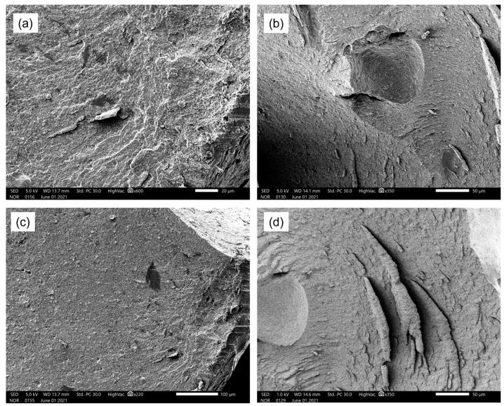 https://cdn.ncbi.nlm.nih.gov/pmc/blobs/9257/11722910/e15e5d55d0ca/polymers-17-00116-g004.jpg