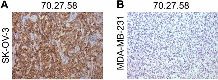 https://cdn.ncbi.nlm.nih.gov/pmc/blobs/9258/10874376/4f6b24bf8f6b/41598_2024_54590_Fig4_HTML.jpg