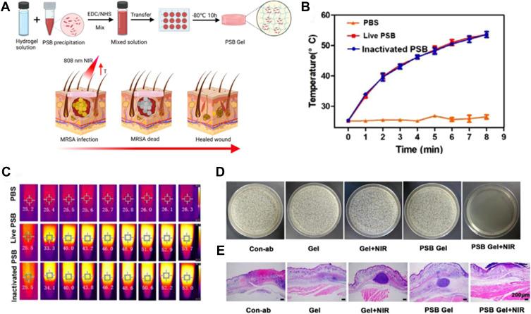https://cdn.ncbi.nlm.nih.gov/pmc/blobs/9259/9871051/9304d2f4c51a/IJN-18-385-g0007.jpg