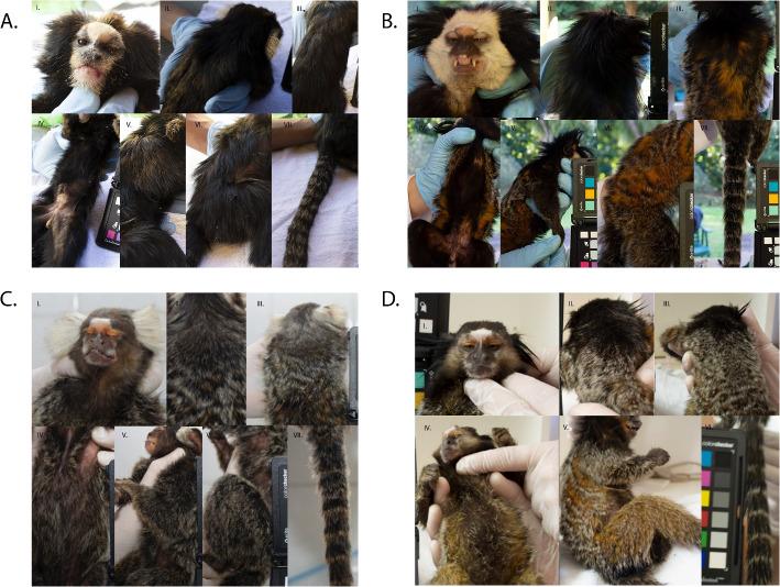 https://cdn.ncbi.nlm.nih.gov/pmc/blobs/925a/11414090/8ba92447b270/12862_2024_2305_Fig2_HTML.jpg