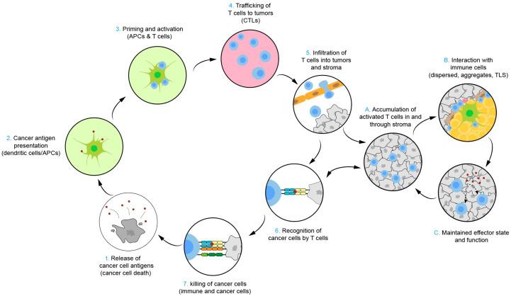 https://cdn.ncbi.nlm.nih.gov/pmc/blobs/925b/11430029/24316a91684f/biomolecules-14-01057-g001.jpg