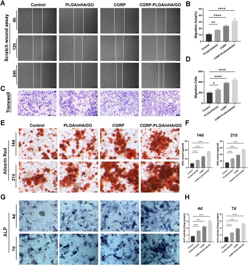 https://cdn.ncbi.nlm.nih.gov/pmc/blobs/925b/12391257/51960a0032ba/gr4.jpg