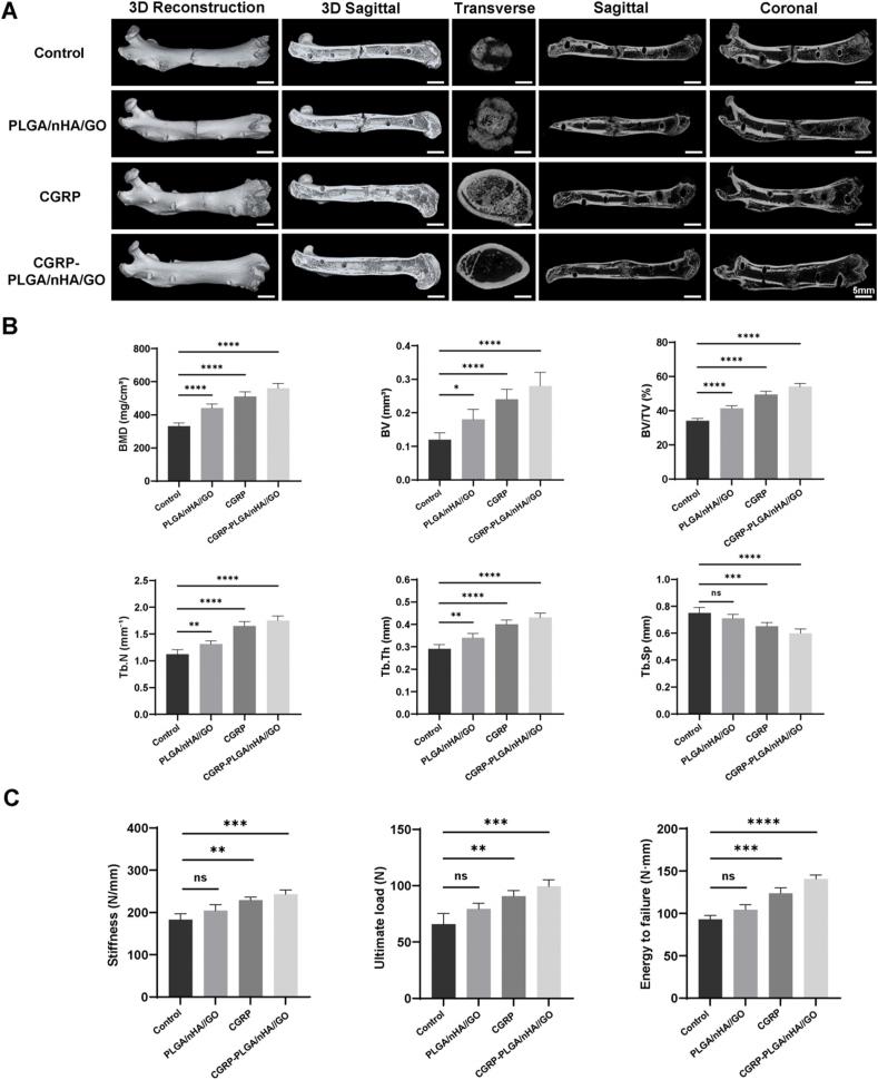 https://cdn.ncbi.nlm.nih.gov/pmc/blobs/925b/12391257/6785386d0601/gr7.jpg