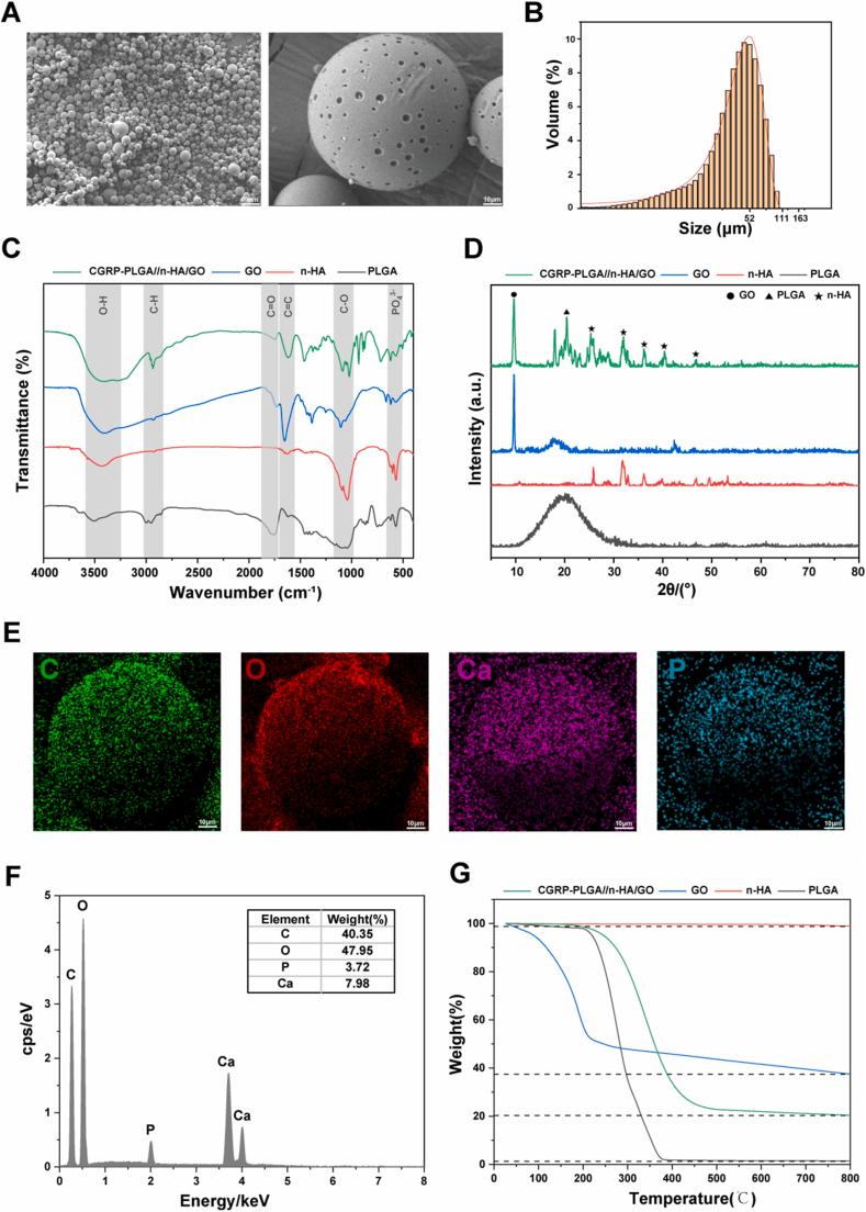 https://cdn.ncbi.nlm.nih.gov/pmc/blobs/925b/12391257/688383625a13/gr1.jpg
