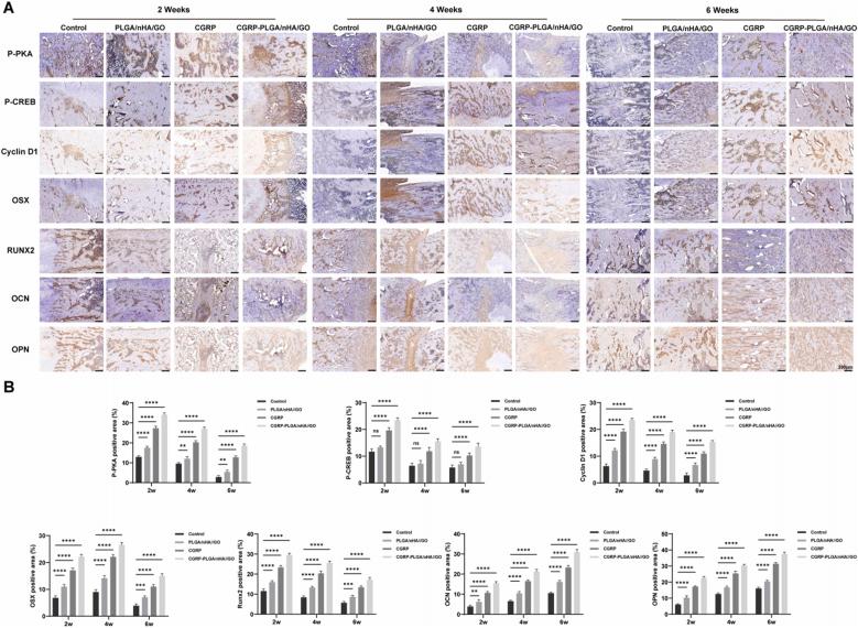 https://cdn.ncbi.nlm.nih.gov/pmc/blobs/925b/12391257/c2c07a4972eb/gr9.jpg