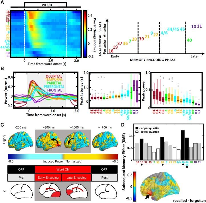 https://cdn.ncbi.nlm.nih.gov/pmc/blobs/925c/11370809/503370691c09/awae159f4.jpg