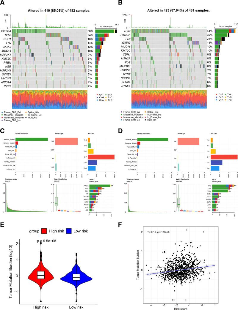 https://cdn.ncbi.nlm.nih.gov/pmc/blobs/925d/12014030/2bd2e2ad3ca6/medi-104-e42146-g007.jpg