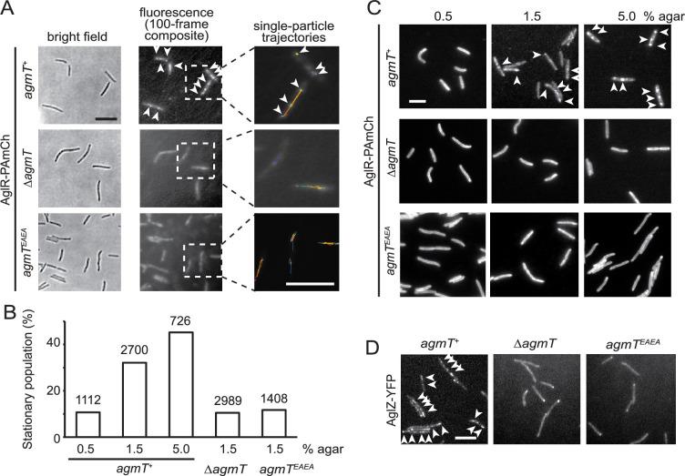 https://cdn.ncbi.nlm.nih.gov/pmc/blobs/9263/11444678/6113d65720ef/elife-99273-fig4.jpg