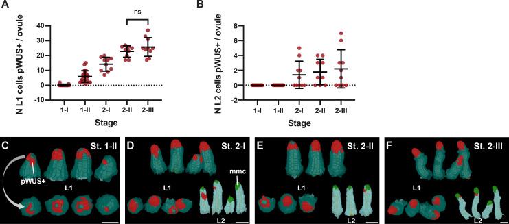 https://cdn.ncbi.nlm.nih.gov/pmc/blobs/9265/7787667/0d53edf951f2/elife-63262-fig5.jpg