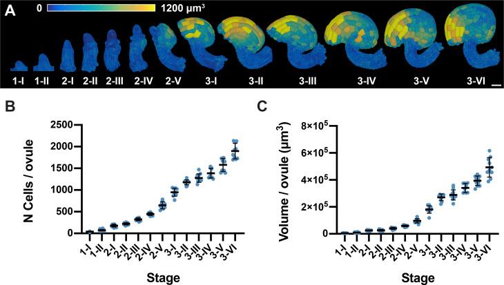 https://cdn.ncbi.nlm.nih.gov/pmc/blobs/9265/7787667/33d9d7183186/elife-63262-fig2.jpg