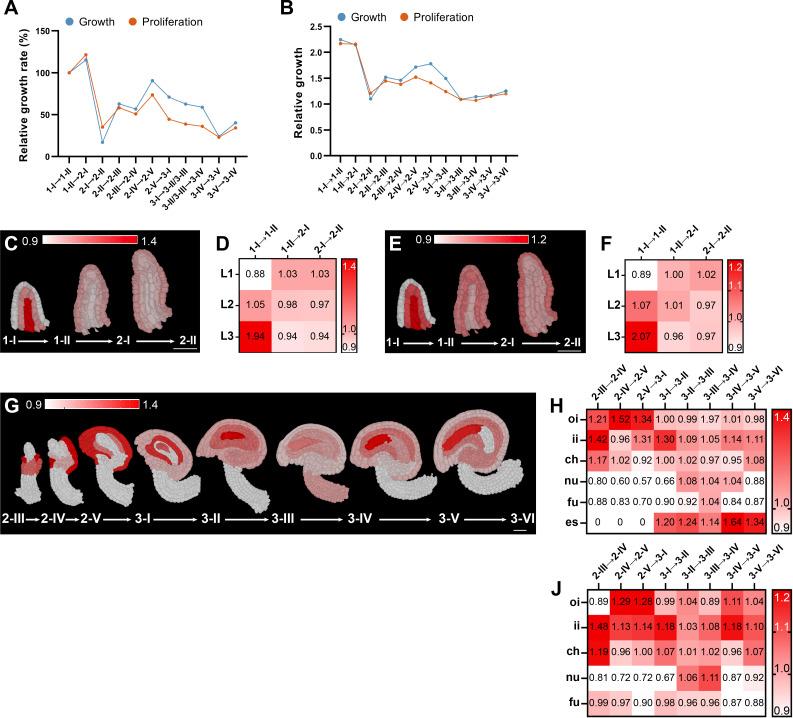 https://cdn.ncbi.nlm.nih.gov/pmc/blobs/9265/7787667/95606398bbd8/elife-63262-fig4.jpg