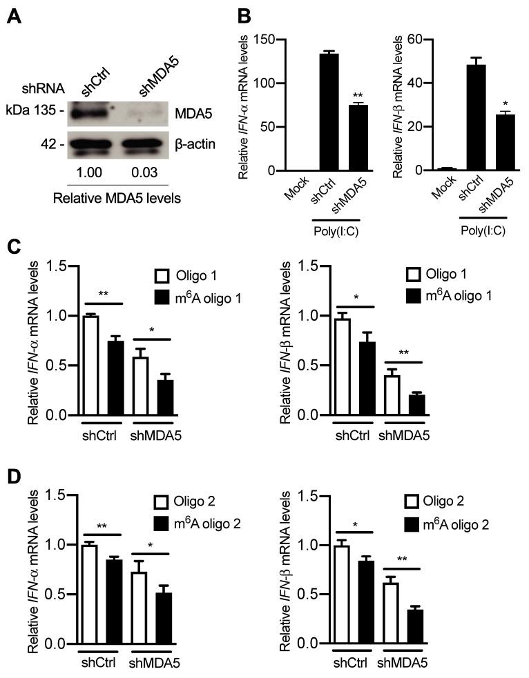 https://cdn.ncbi.nlm.nih.gov/pmc/blobs/9265/7984636/0d1cf31c55d9/ppat.1009421.g011.jpg