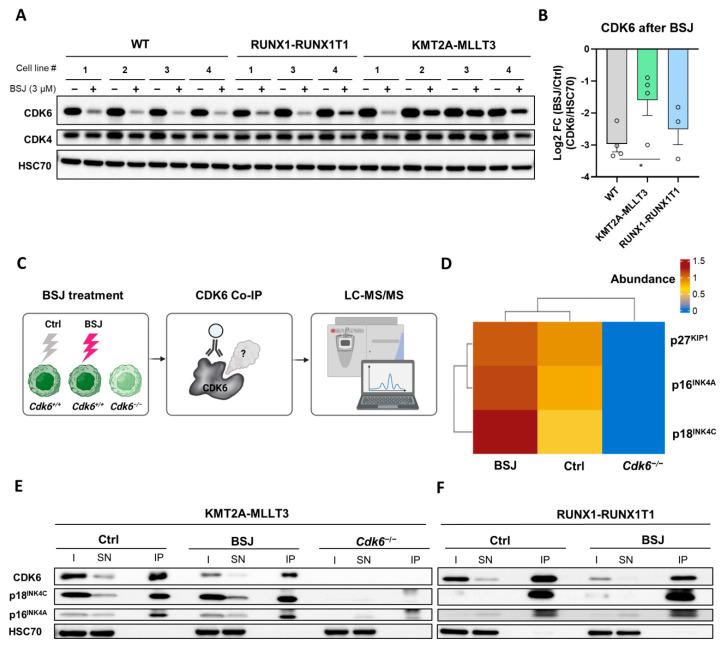 https://cdn.ncbi.nlm.nih.gov/pmc/blobs/9265/8946512/826f3882d464/cancers-14-01554-g003.jpg