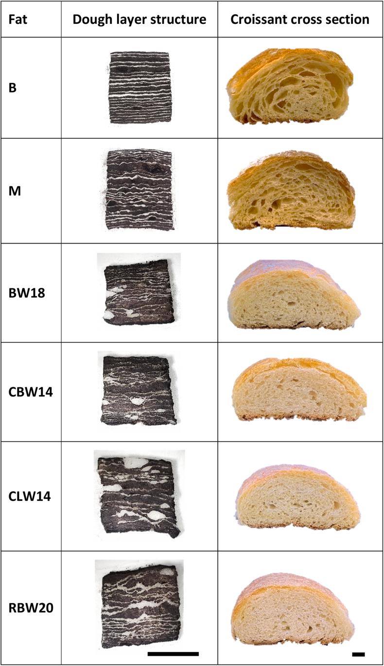 https://cdn.ncbi.nlm.nih.gov/pmc/blobs/9266/11995129/a81936274295/gr6.jpg
