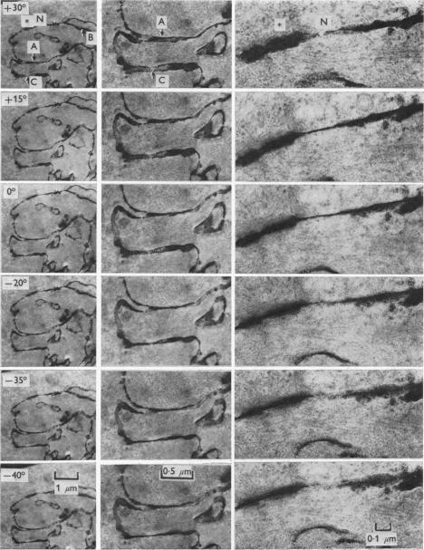 https://cdn.ncbi.nlm.nih.gov/pmc/blobs/9269/1330728/044f4fd877ef/jphysiol00916-0090-a.jpg