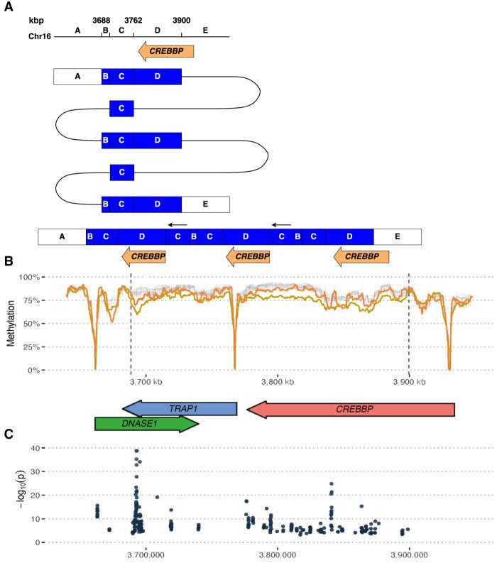 https://cdn.ncbi.nlm.nih.gov/pmc/blobs/926a/11610597/432101f170be/1763f05.jpg