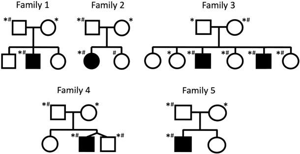 https://cdn.ncbi.nlm.nih.gov/pmc/blobs/926a/11610597/b2bf06ce164f/1763f01.jpg