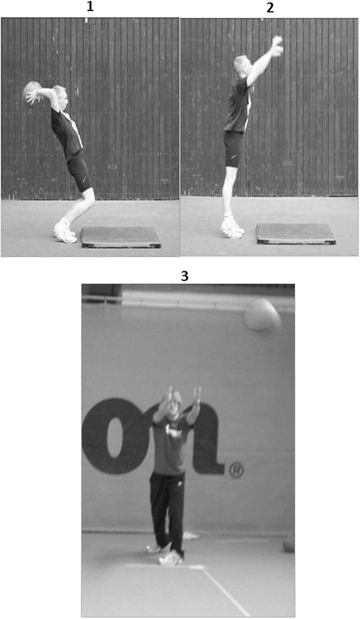 https://cdn.ncbi.nlm.nih.gov/pmc/blobs/926b/3995228/2e33fabcf286/bjsports-2013-093152f04.jpg