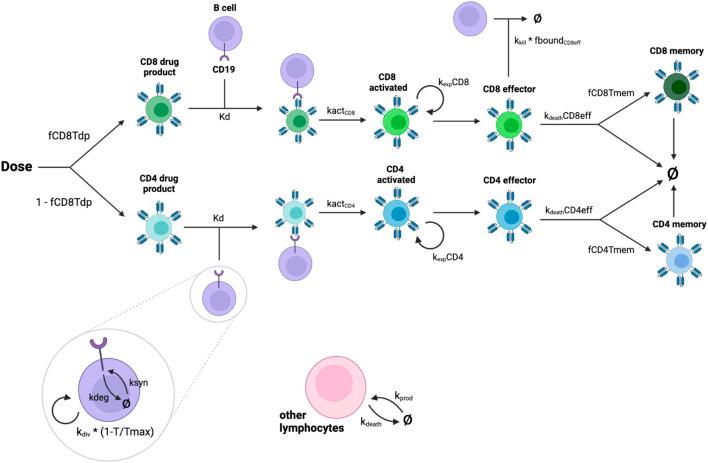 https://cdn.ncbi.nlm.nih.gov/pmc/blobs/926d/12341985/3455c1f7d02e/fsysb-04-1380018-g001.jpg