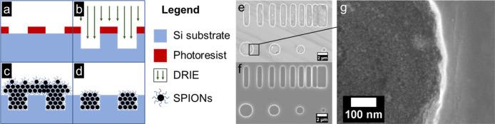 https://cdn.ncbi.nlm.nih.gov/pmc/blobs/926e/12186231/619411ea7d9a/an5c01383_0003.jpg