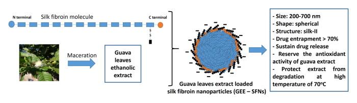 https://cdn.ncbi.nlm.nih.gov/pmc/blobs/926e/9879179/c395567139c1/IDRD_A_2168793_UF0001_C.jpg