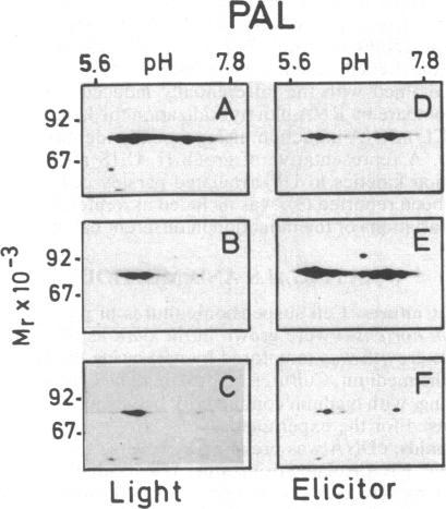 https://cdn.ncbi.nlm.nih.gov/pmc/blobs/926f/344773/0b6b7bf312ad/pnas00605-0128-a.jpg