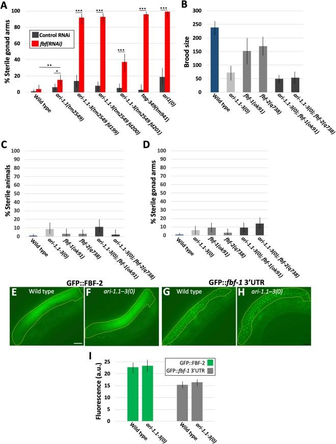 https://cdn.ncbi.nlm.nih.gov/pmc/blobs/9270/6288150/6d27499b1b8a/41598_2018_35691_Fig4_HTML.jpg