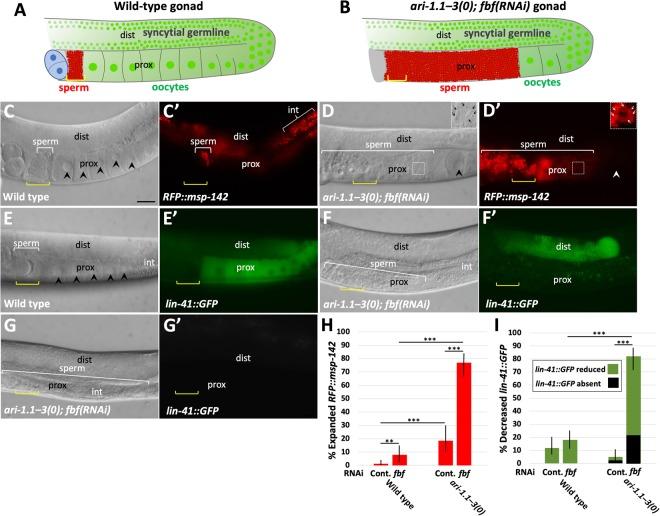 https://cdn.ncbi.nlm.nih.gov/pmc/blobs/9270/6288150/b0b03ad08cb8/41598_2018_35691_Fig5_HTML.jpg