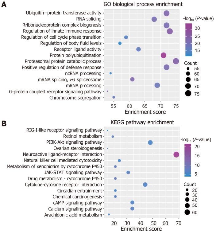 https://cdn.ncbi.nlm.nih.gov/pmc/blobs/9270/6656668/ca970f8c33ab/WJCC-7-1383-g003.jpg