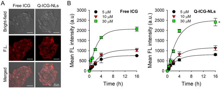 https://cdn.ncbi.nlm.nih.gov/pmc/blobs/9271/11990451/e9ea554b0e3f/molecules-30-01414-g005.jpg