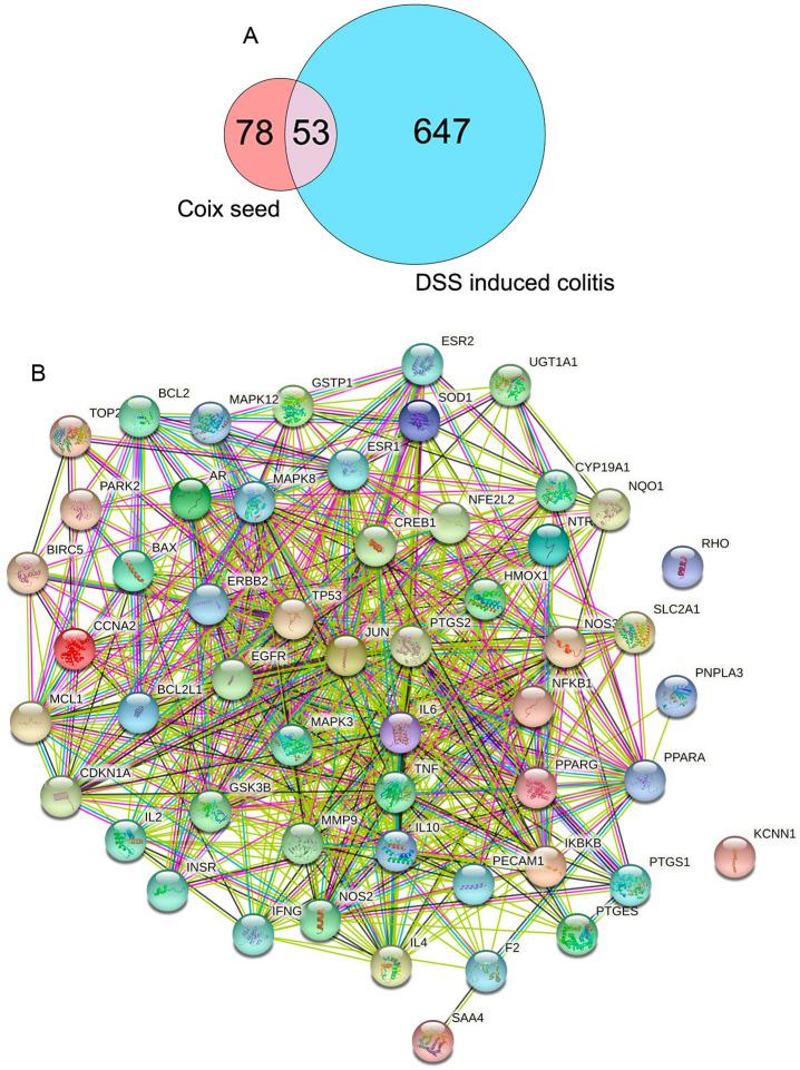 https://cdn.ncbi.nlm.nih.gov/pmc/blobs/9272/8746960/b04ea591321f/nutrients-14-00123-g004.jpg