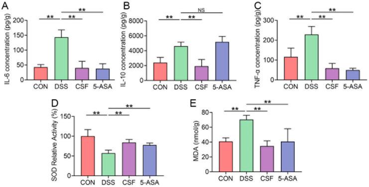 https://cdn.ncbi.nlm.nih.gov/pmc/blobs/9272/8746960/f448cf81605e/nutrients-14-00123-g003.jpg