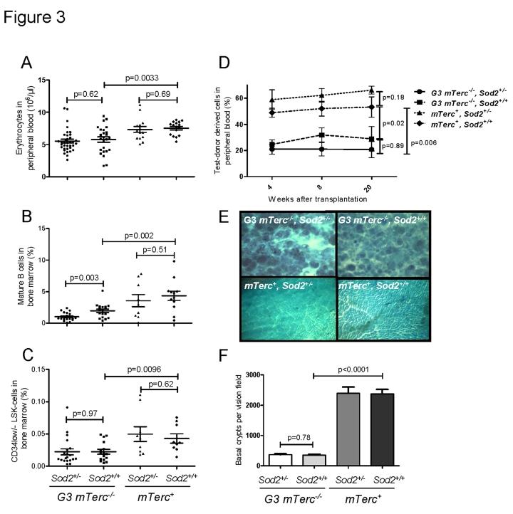 https://cdn.ncbi.nlm.nih.gov/pmc/blobs/9275/2830048/bcc6372a41e9/aging-01-303-g003.jpg