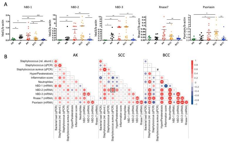 https://cdn.ncbi.nlm.nih.gov/pmc/blobs/9275/7139500/0466e36cacbf/cancers-12-00541-g005.jpg