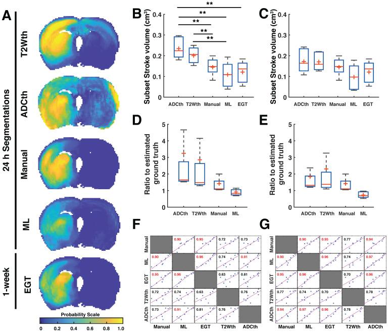 https://cdn.ncbi.nlm.nih.gov/pmc/blobs/9275/7806470/966f68cb6385/thnov11p3017g003.jpg
