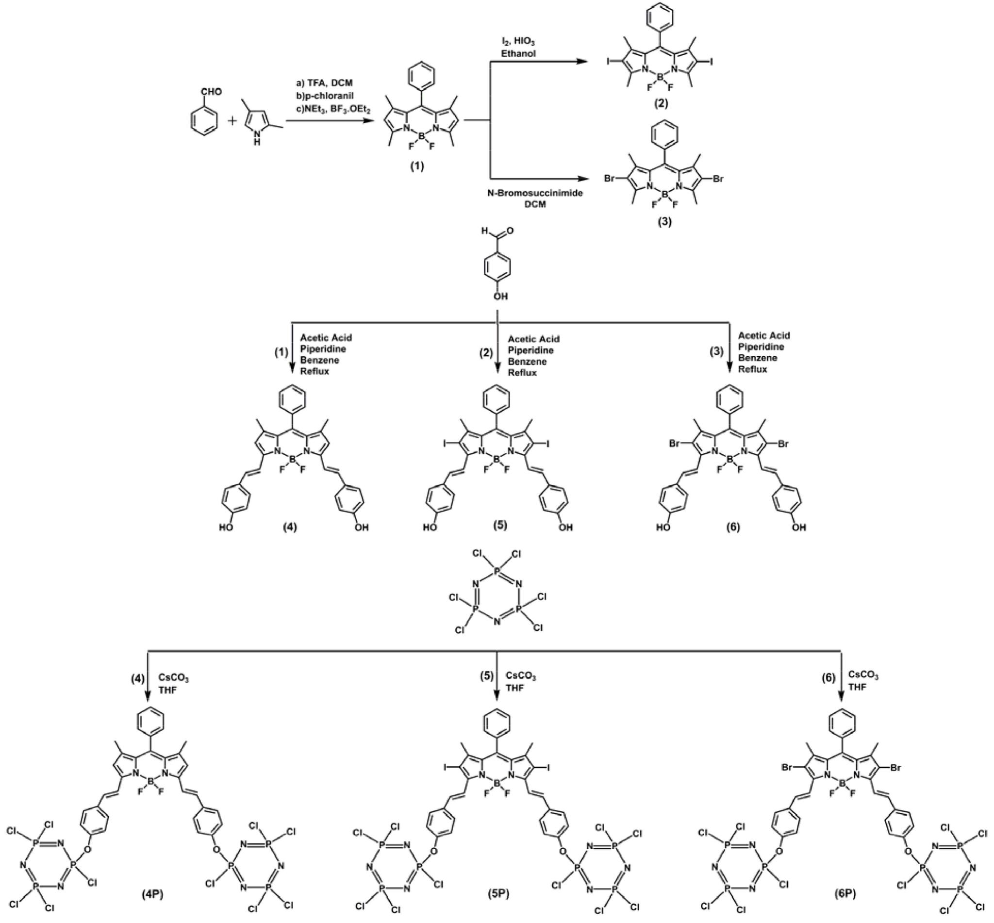 https://cdn.ncbi.nlm.nih.gov/pmc/blobs/9276/7751812/3bfe3725c54c/turkjchem-44-74-sch001.jpg