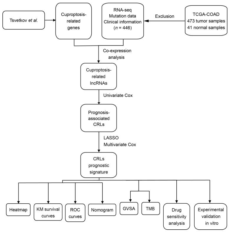 https://cdn.ncbi.nlm.nih.gov/pmc/blobs/9276/9960235/502af41dccac/jcm-12-01528-g001.jpg
