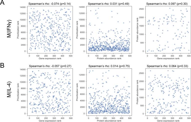 https://cdn.ncbi.nlm.nih.gov/pmc/blobs/927a/6179386/2bf6b11924c2/elife-37059-fig4-figsupp3.jpg