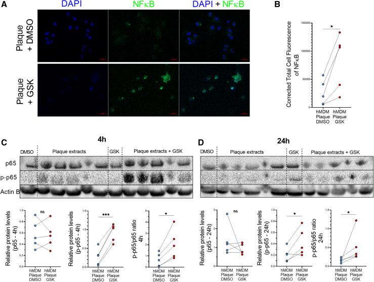 https://cdn.ncbi.nlm.nih.gov/pmc/blobs/927d/12094261/19d7ccd81370/atv-45-910-g005.jpg