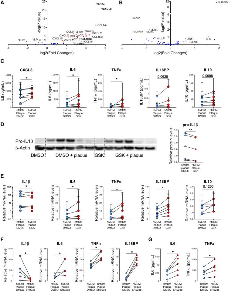 https://cdn.ncbi.nlm.nih.gov/pmc/blobs/927d/12094261/c68b172ee535/atv-45-910-g003.jpg