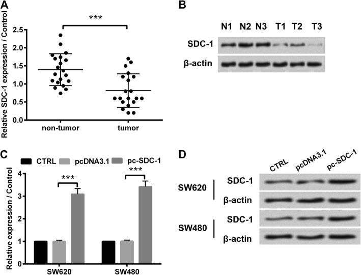 https://cdn.ncbi.nlm.nih.gov/pmc/blobs/927d/6884902/5c8618efbdb9/12885_2019_6381_Fig1_HTML.jpg