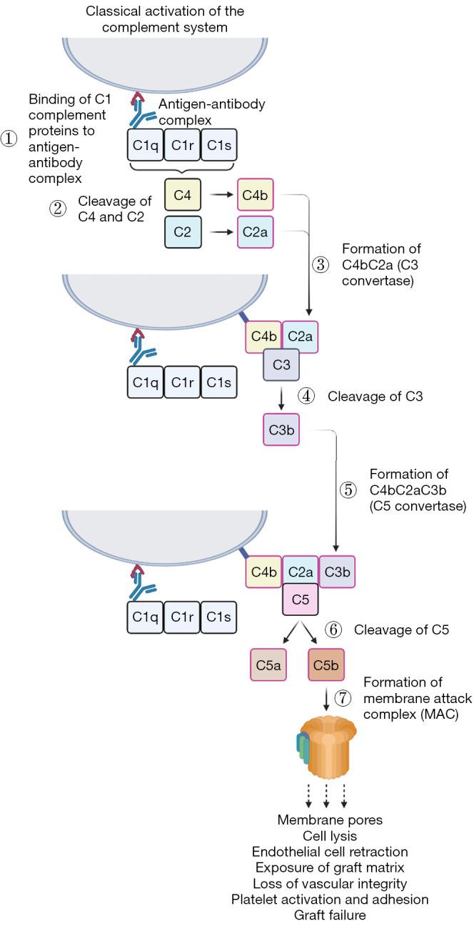 https://cdn.ncbi.nlm.nih.gov/pmc/blobs/927e/10485650/c68b03b2f9d8/tp-12-08-1572-f3.jpg
