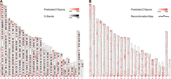 https://cdn.ncbi.nlm.nih.gov/pmc/blobs/9280/10172764/4cd58d876d98/LSA-2023-01962_FigS5.jpg