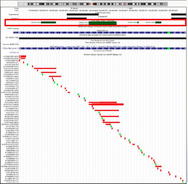 https://cdn.ncbi.nlm.nih.gov/pmc/blobs/9280/10172764/5b7870082b53/LSA-2023-01962_FigS20.jpg