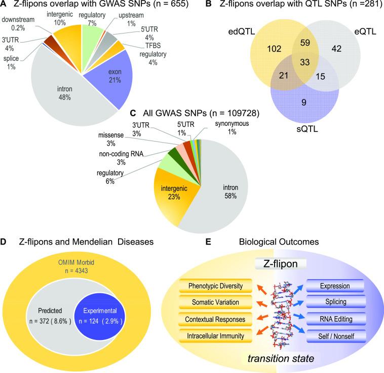 https://cdn.ncbi.nlm.nih.gov/pmc/blobs/9280/10172764/abc5b524b278/LSA-2023-01962_Fig4.jpg