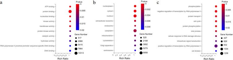 https://cdn.ncbi.nlm.nih.gov/pmc/blobs/9281/10473432/2c5a9fa59dd8/JIR-16-3687-g0004.jpg
