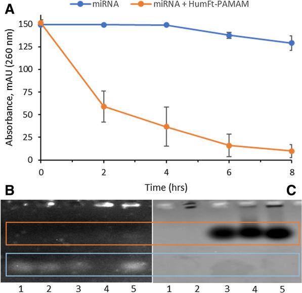 https://cdn.ncbi.nlm.nih.gov/pmc/blobs/9281/8190868/2184549e0b65/12951_2021_921_Fig5_HTML.jpg