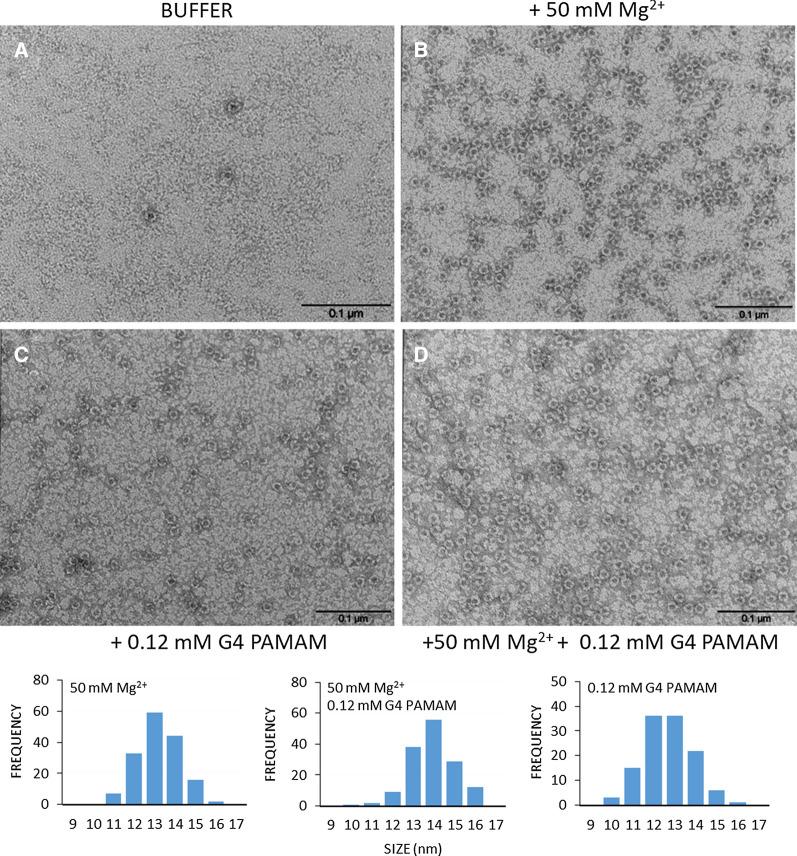 https://cdn.ncbi.nlm.nih.gov/pmc/blobs/9281/8190868/dac6d5285e75/12951_2021_921_Fig2_HTML.jpg
