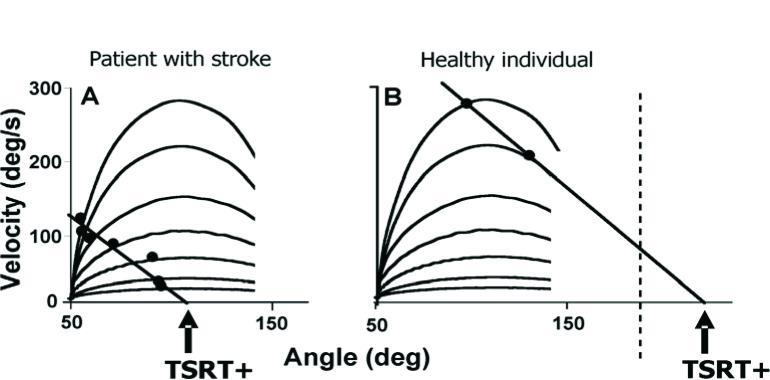 https://cdn.ncbi.nlm.nih.gov/pmc/blobs/9282/5260515/96ee34cb32cc/j_hukin-2015-0191_fig_005.jpg